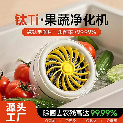 跨境无线果蔬清洗净化器食材清洗机家园水果除菌除农残自动洗菜机