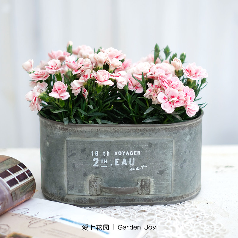 室内阳台装饰铁艺做旧铁皮花盒 椭圆小抽屉花盆花桶
