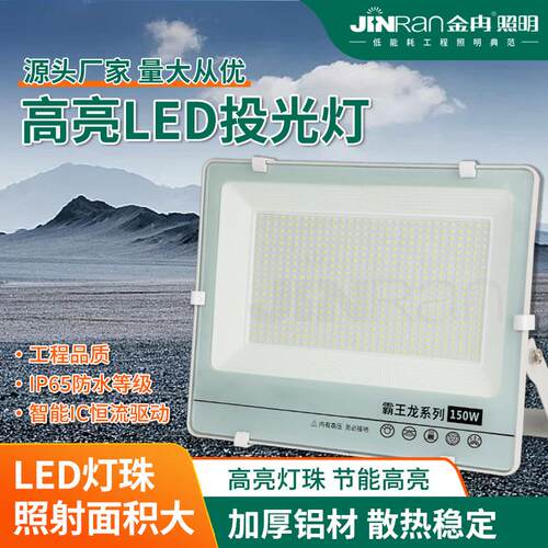 3030大贴片霸王龙系列LED投光灯室外防水照明广告灯工地