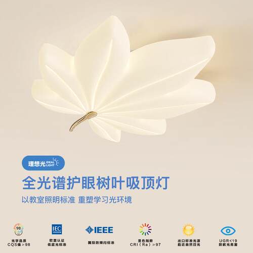客厅灯吸顶灯温馨浪漫主卧室房间灯创意个性枫叶奶油风大厅组合灯
