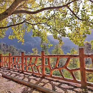 仿木水泥护栏园林景观河道隔离栏新农村庭院绿化仿树藤纹防护栅栏