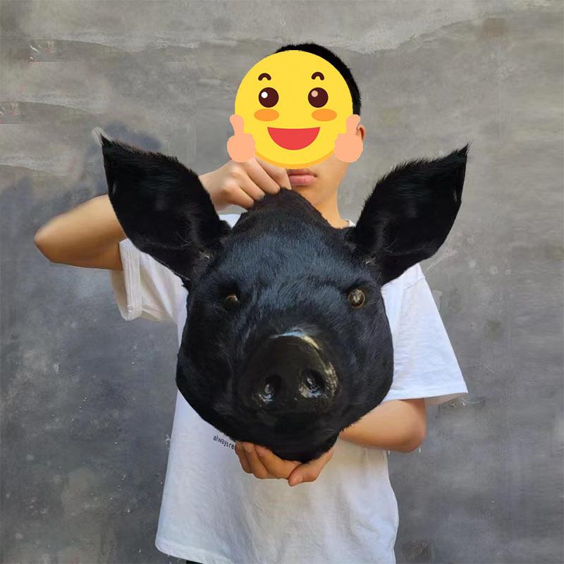 仿真猪头动物模型挂件玄关酒吧餐厅装饰品道具动物头壁挂墙面挂饰