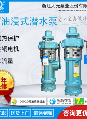 浙江大元QY油浸式清水潜水泵 抽水泵农用船用喷泉高扬程2.2KW-4KW