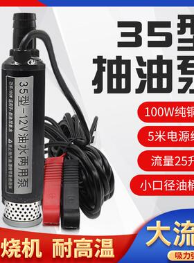 35型电动抽油泵12v24v220v小型电动柴油泵大功率自吸加油泵抽水泵