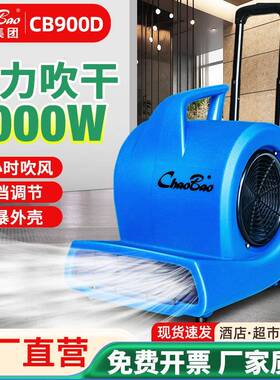 吹地机酒店地毯吹干机商用大功率厕所地面吹风机鼓风机CB900