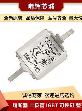 170M3358 170M3359 高压直流熔断器 电子元器件 型号齐全现货