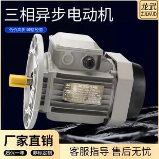 Y2全铜三相异步电动机0.18/0.37/.0.75/1.1/1.5/2.2/3/4W立式
