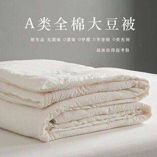 Sofe Comforter Duvet Blanket Air Condition Quilt Summer 夏被