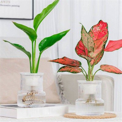 Home Self Watering Planters Modern Home Self Watering