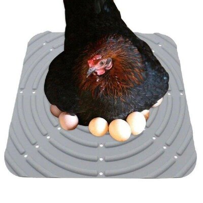 Versatile Silicone Pad for Chicken Raising and Breeding