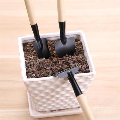 Gardening Essential Three-Piece Set: Potted Plant Cultivatio