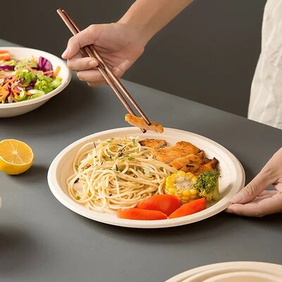 50pcs Degradable Disposable Plates Company Family Gathering