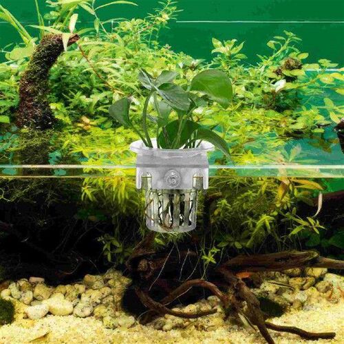 4 Pcs Aquarium Flower Pot Fish Tank Planter Cups Plastic