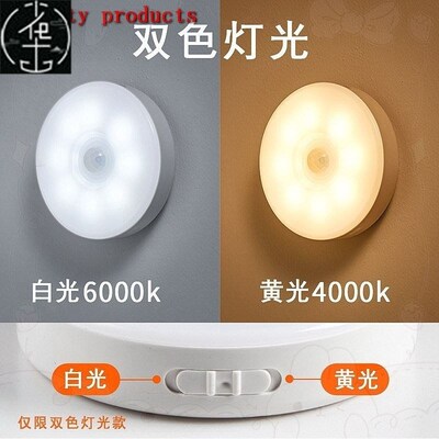 PIR Motion Sensor LED Night Light USB Rechargeable Lamp