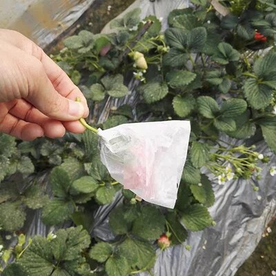 Hot Fruit Protection Bags Against Insect Anti Bird Bag Pest