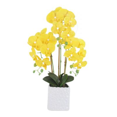 。Feel Phalaenopsis simulation flower set creative silk flow