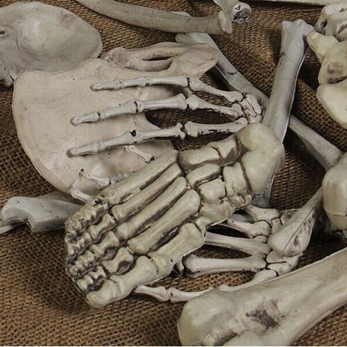 Halloween simulation human skeleton horror decoration 骷髅