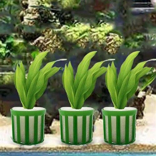 Aquatic Plant Fixed Holder 10pcs Fish Tank Plants Fix