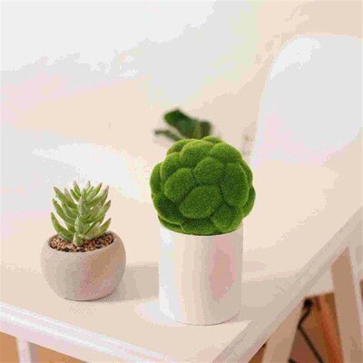 2 Pcs Grass Balls Decor Preserved Moss Simulated Ornament