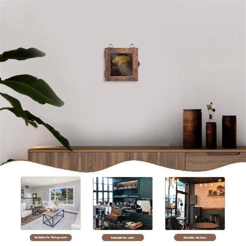 Vintage Specimen Box Flower Frame Double Picture Frames - 实物图