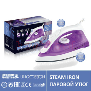 English iron electric iron steam soleplate steamer 2200W熨斗
