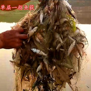 白丝细丝单层白条鱼网加重沉网浮网分7分8分餐鱼小鱼网粘网