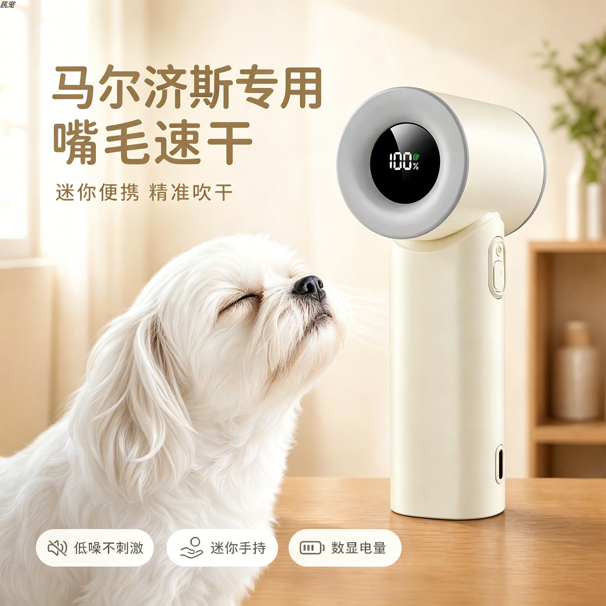 马尔济斯专用狗狗吹嘴毛吹风机小狗面部嘴毛吹毛机宠物狗洗澡胡子