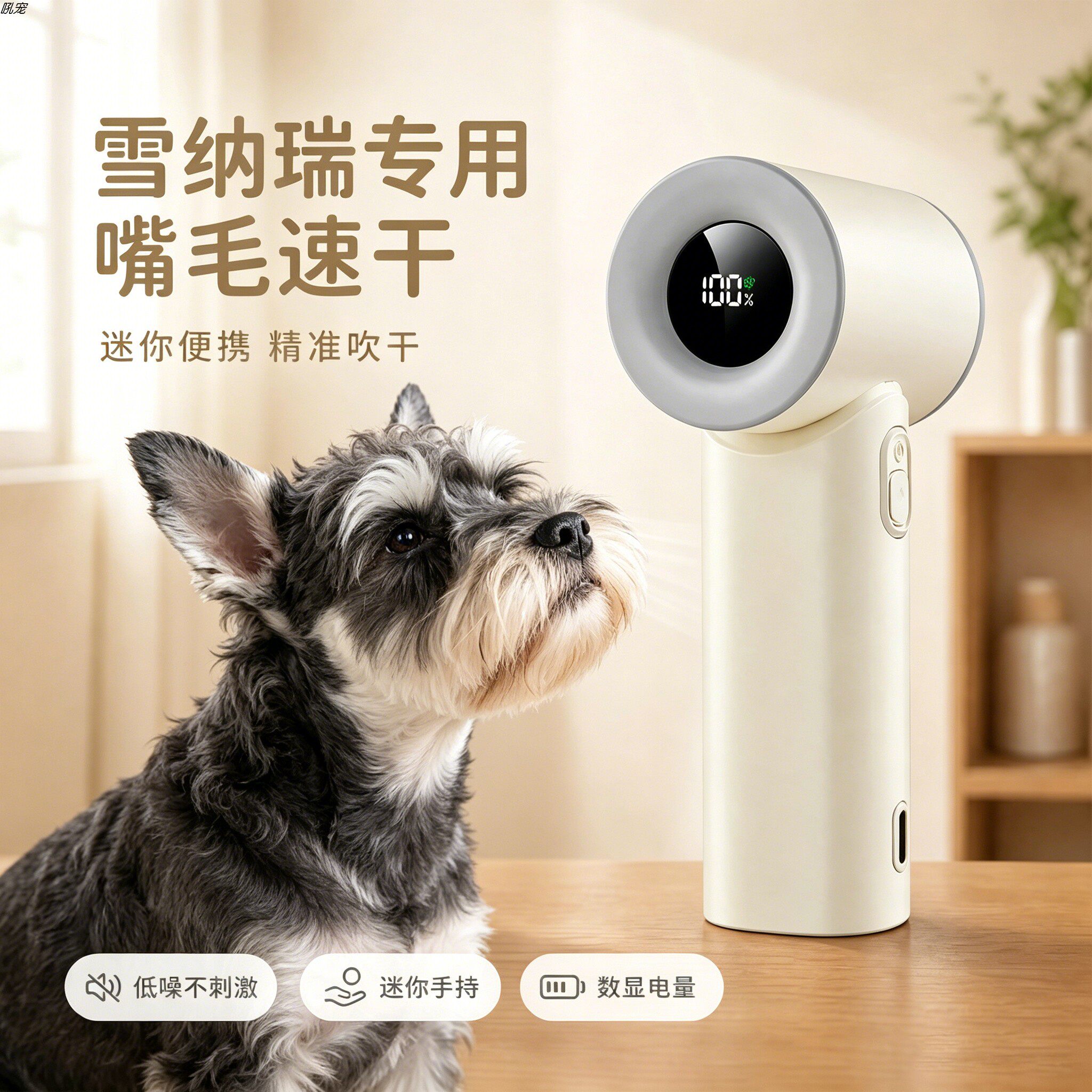 雪纳瑞专用狗狗吹嘴毛吹风机小狗面部嘴毛吹毛机宠物小型犬电吹风