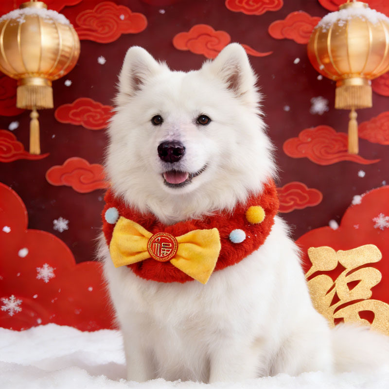 萨摩耶专用狗狗新年围脖过年红色喜庆围巾宠物装饰品大狗围兜配饰,宠物/宠物食品及用品,围巾/口水巾,淘宝优惠券,粉丝福利购,淘宝优惠卷