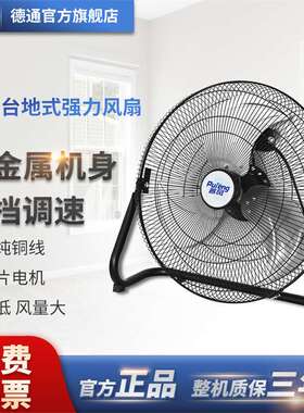 Deton德通风扇普风FE2趴地扇工业电风扇家用爬地扇16寸FE2-40