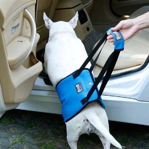 Adjustable Dog Lift Sling Harness For Back Legs Pet Support