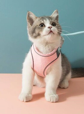 Cat Harness Leash Set for Chihuahua Accessories Dog Cat Vest