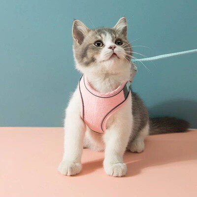 Cat Harness Leash Set for Chihuahua Accessories Dog Cat Vest