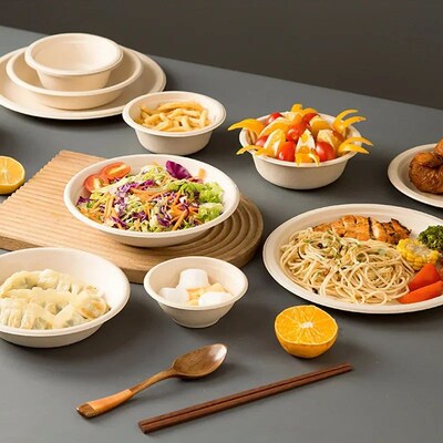 50pcs Degradable Disposable Plates Company Family Gathering