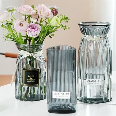 Nordic Home Decor Glass Vase Living Room Decoration Flower V