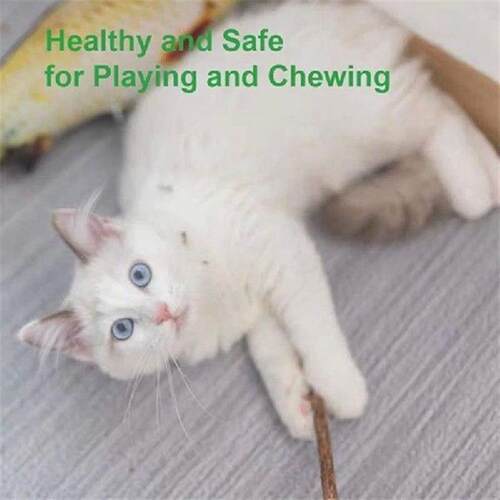 20Pcs Natural Silvervine Sticks For Catnip Sticks Matatabi