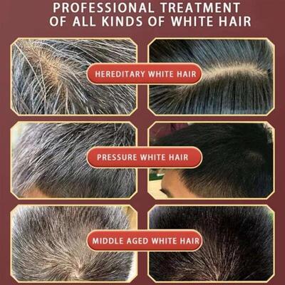 Pure Natural Herbal Hair Dye Shampoo 5 Minutes Change Hair