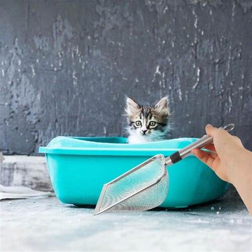 Stainless Steel S Shovel Sifting Litter Scooper Reusable
