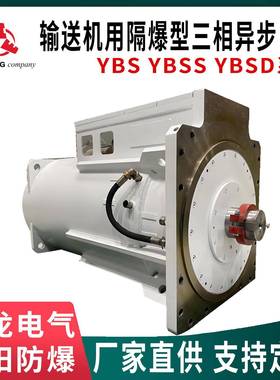 WOLONG卧龙南阳YBS、YBSS、YBSD输送机用隔爆型三相异步电机