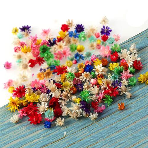 100/200pcs Real Dried Flowers For Diy Art Craft Epoxy Resin