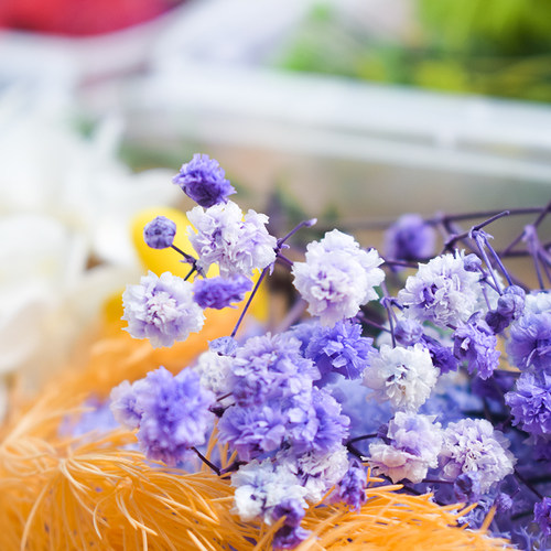 1 Box Real Dried Flower Dry Plants For Aromatherapy Candle E