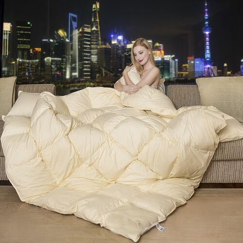 Down Duvet with Cotton Fabric Warm Quilt Comforter Blanket