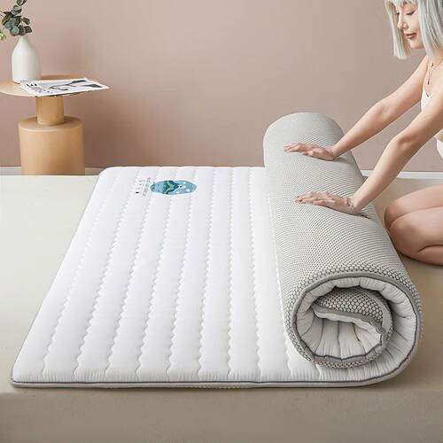 Tatami Mattress Bedroom Furniture Thicker Fiber Bed Mattress