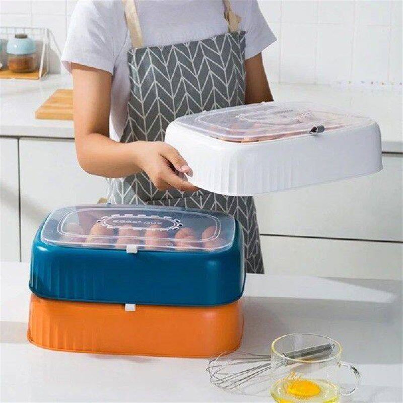 Refrigerator Egg Storage Box Ant