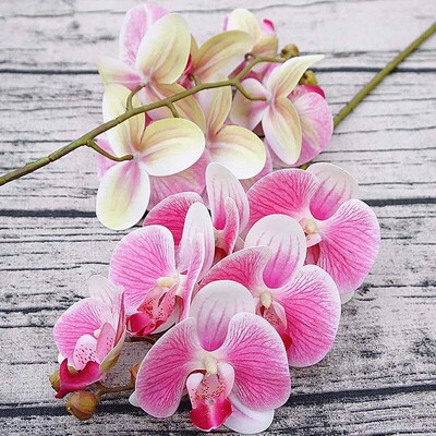 3D Small Butterfly Orchid 6 Heads/Bundle Fake Flower Home Dr