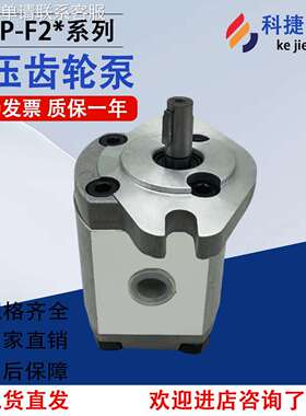 RGP-F206R RGP-F205R液压齿轮泵RGP-F203R RGP-F208R高压泵油泵