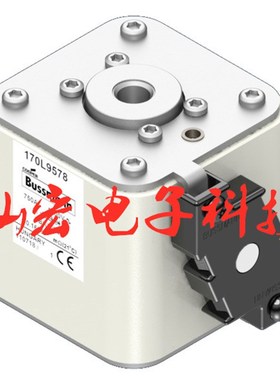 高压/低压熔断器170M2619 170M6468-G 170L5780