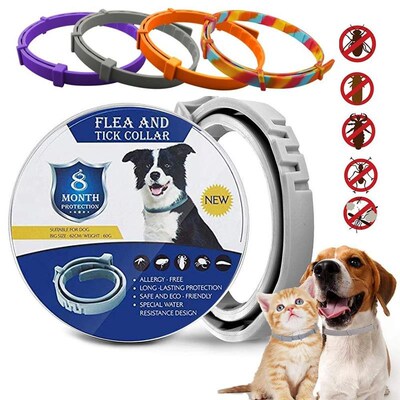 Flea And Tick Collar Silicone Adjustable Dogs Cats Collar 8