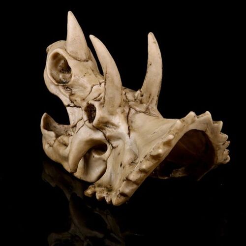 Triceratops Dinosaur Skull Resin Crafts Fossil Skeleton Teac