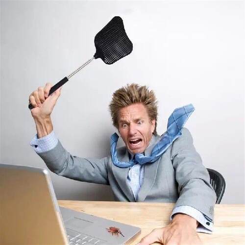 Fly Swatters Telescopic Extendable Prevent Pests Mosquito